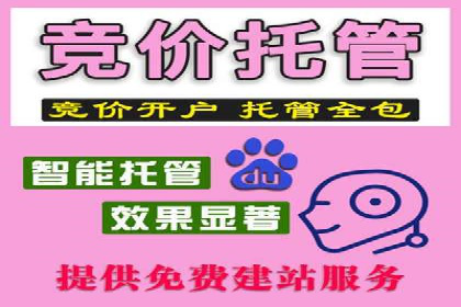 某企业利用百度SEM提升产品销量的实战经验